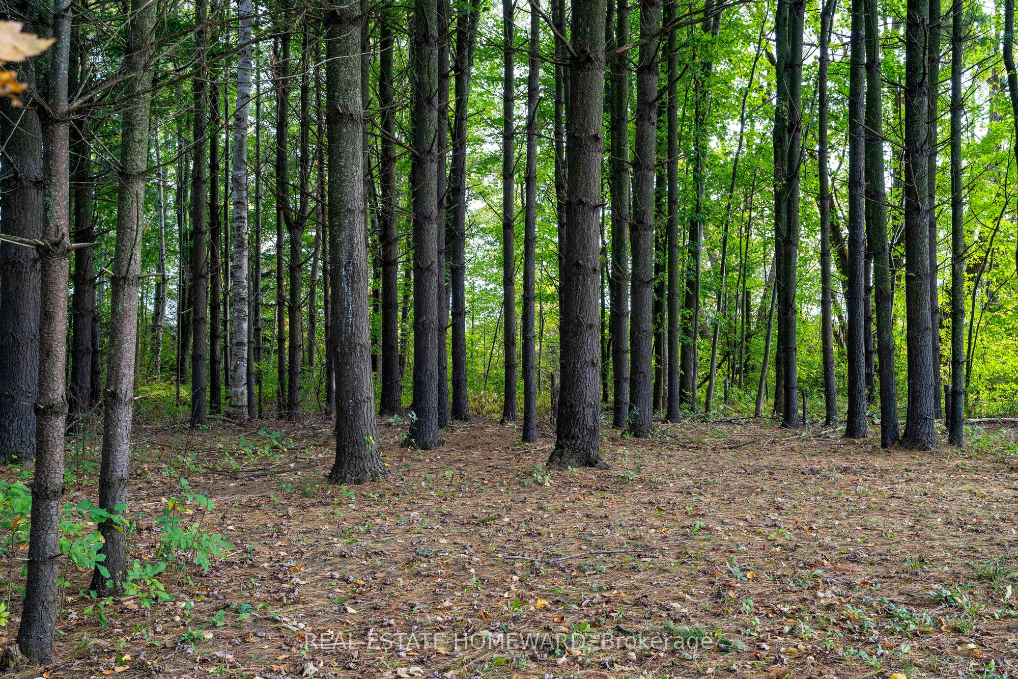 1602 County Rd 7 Road Property Photo 8