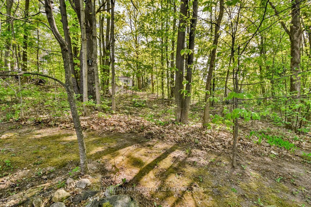 4 Country Club Lane Property Photo 41
