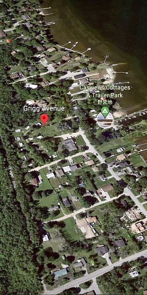 14 Grigg Ave Property Photo 1