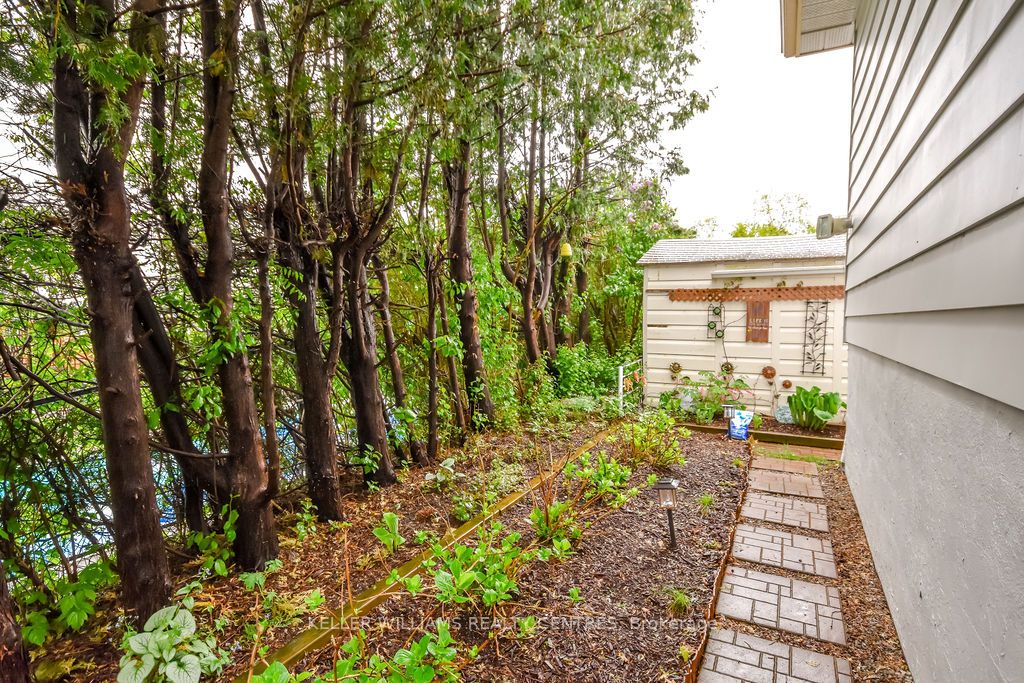 658 Manly Street Property Photo 50