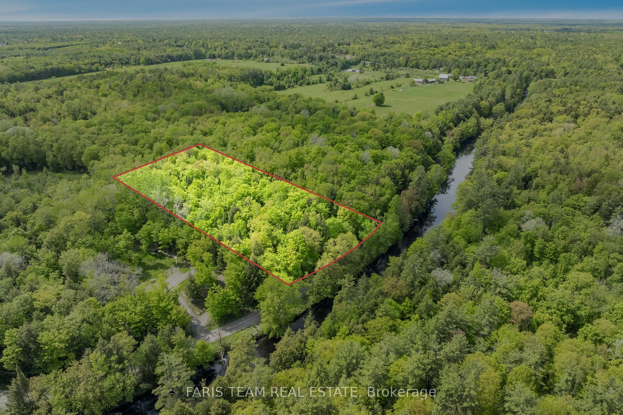 7950 Kings River Rd Property Photo 1