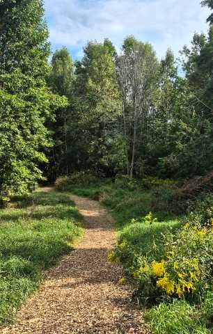 4137 Bayview Avenue Property Photo 21