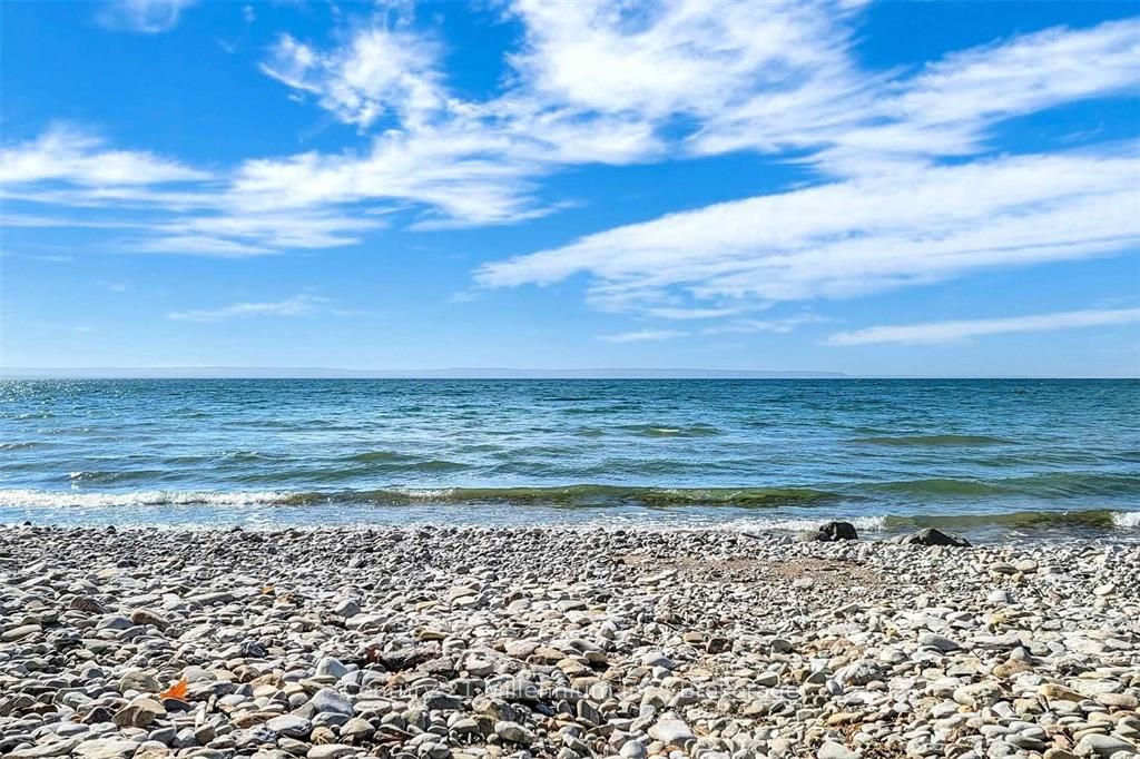 19 Hastings Avenue Property Photo 25