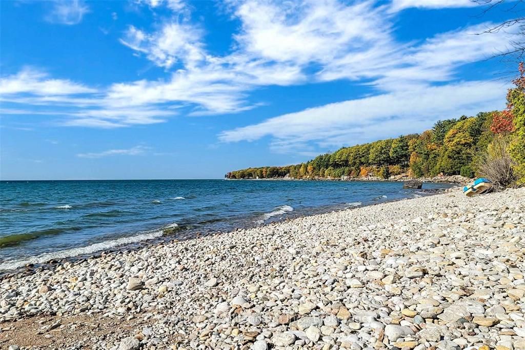 19 Hastings Avenue Property Photo 26