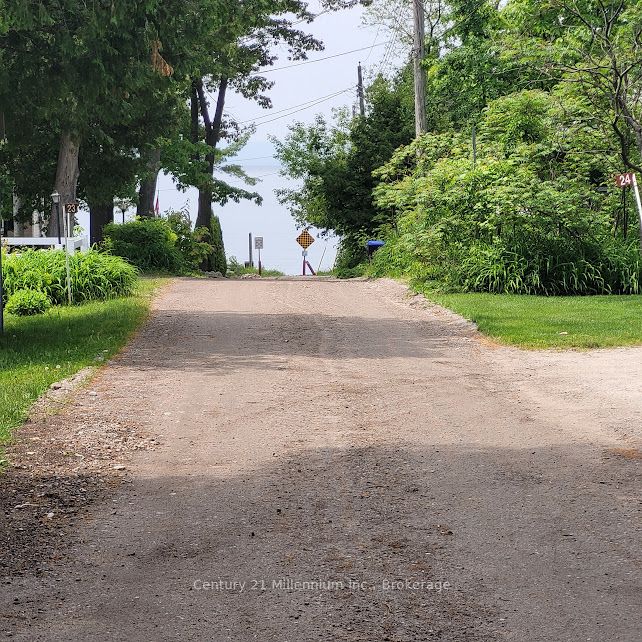 19 Hastings Avenue Property Photo 29