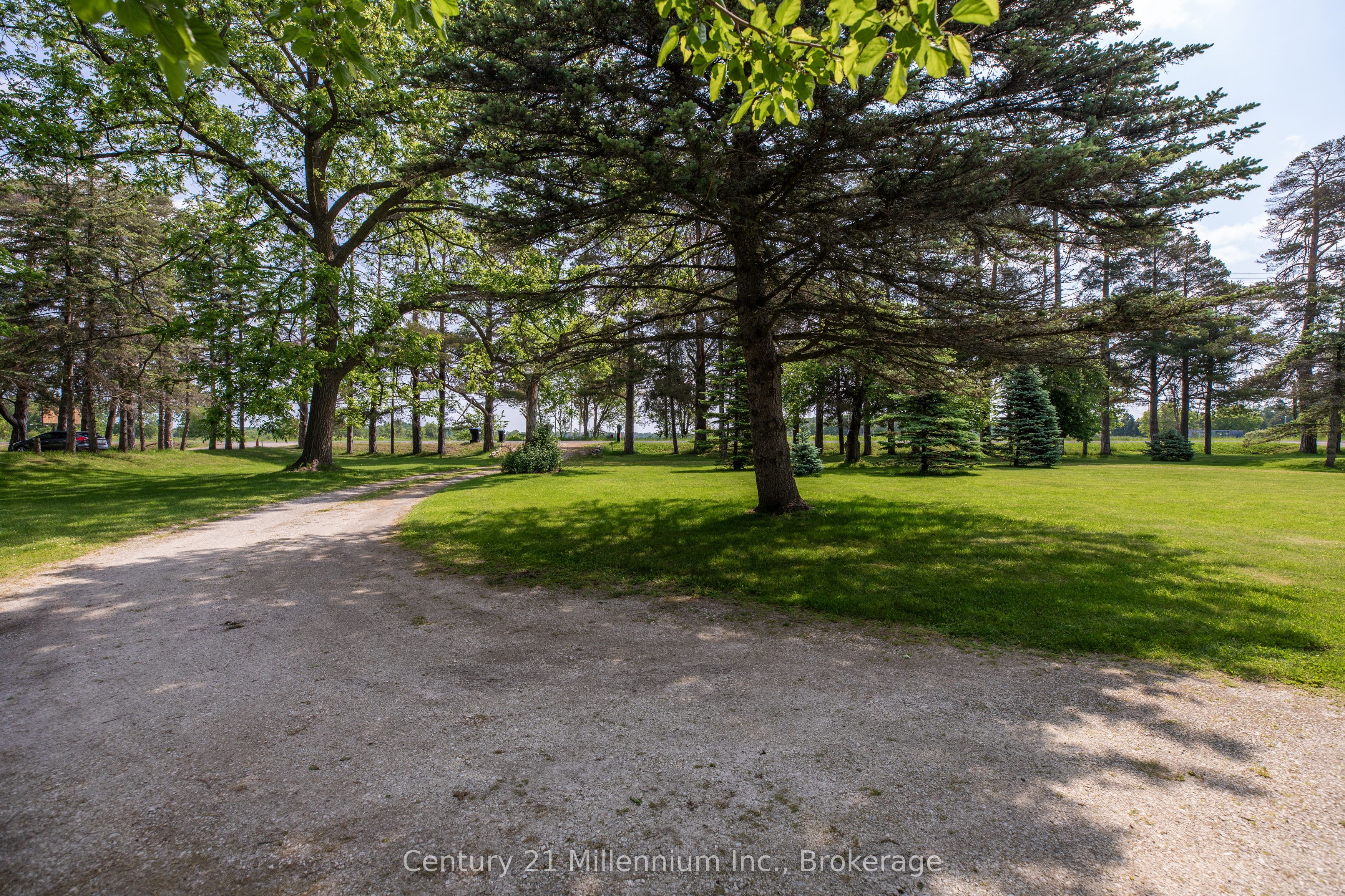 3926 County Road 124 Road Property Photo 2