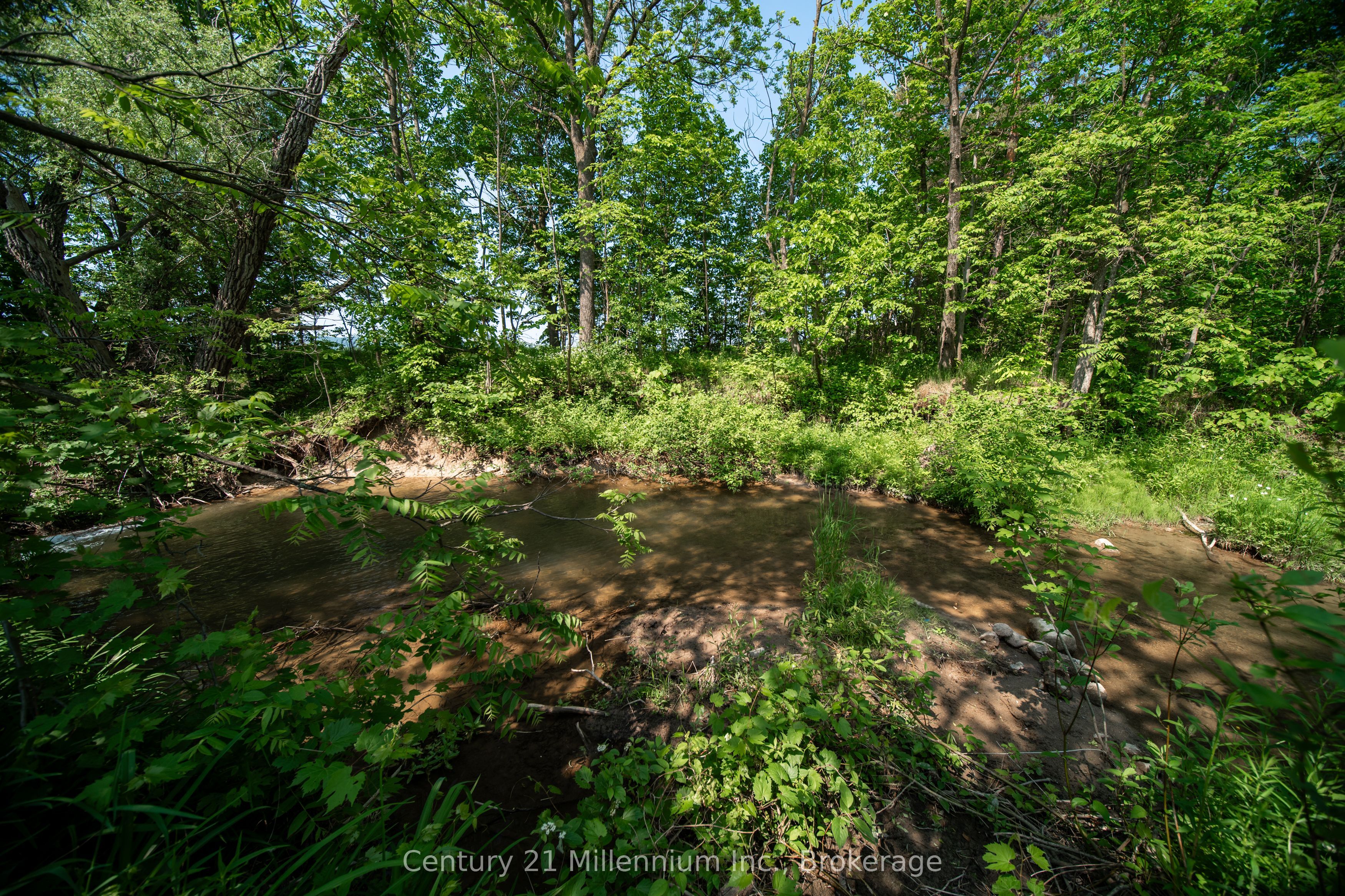 3926 County Road 124 Road Property Photo 23