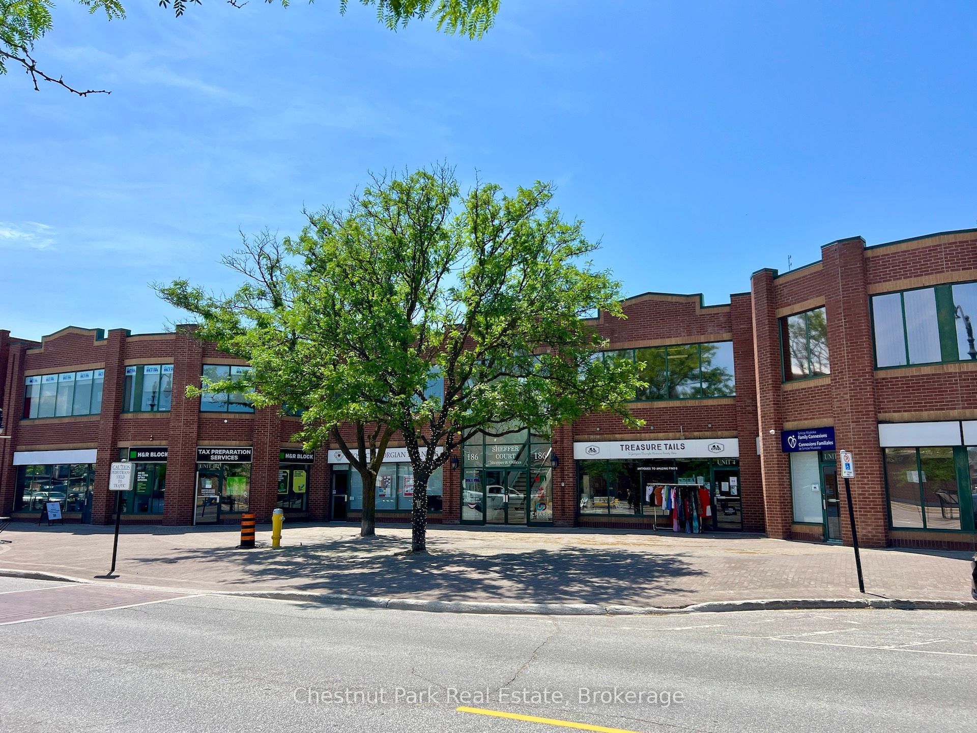 #205 - 186 Hurontario Street Property Photo 1