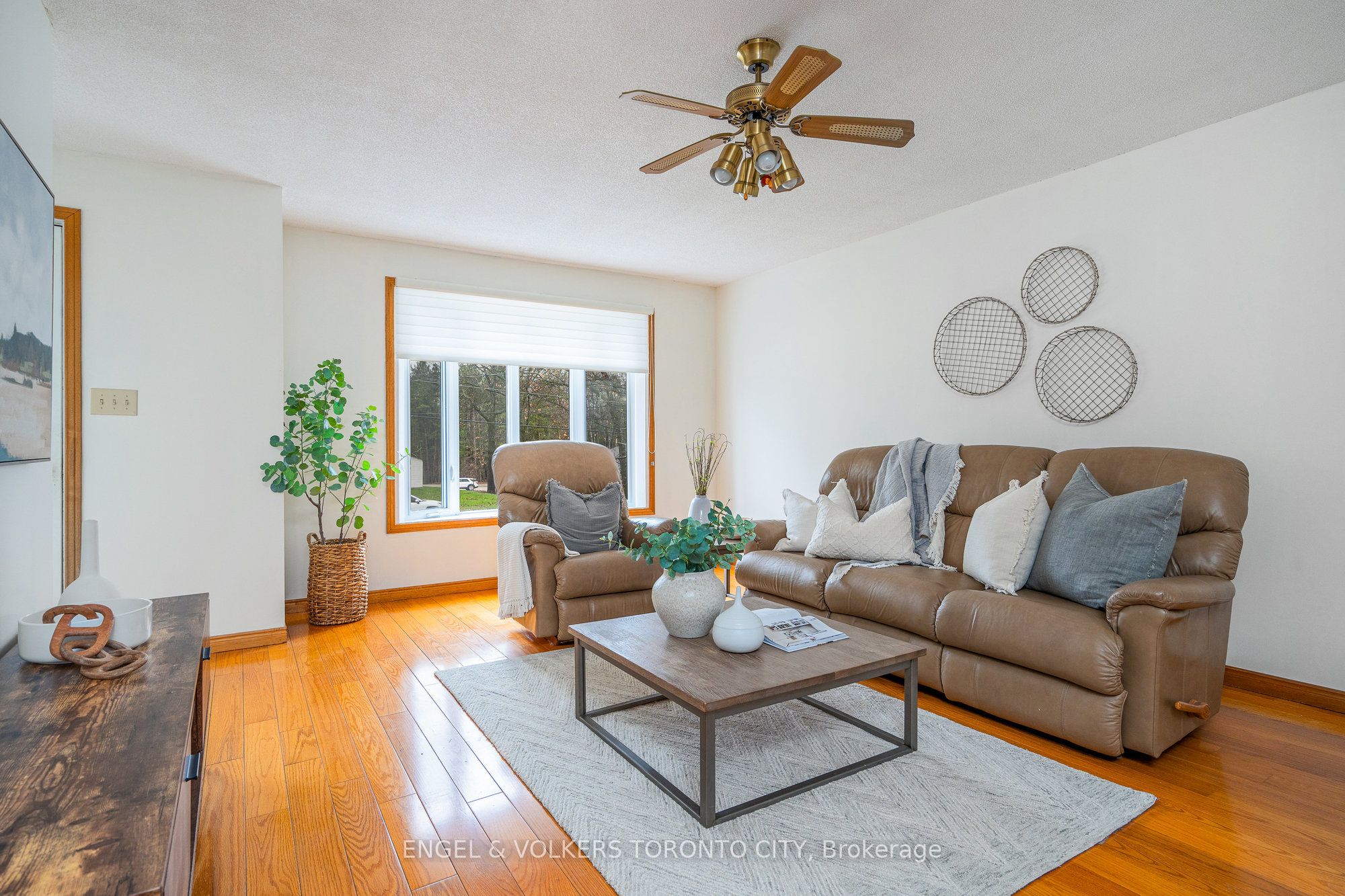 381 Zoo Park Road Property Photo 3