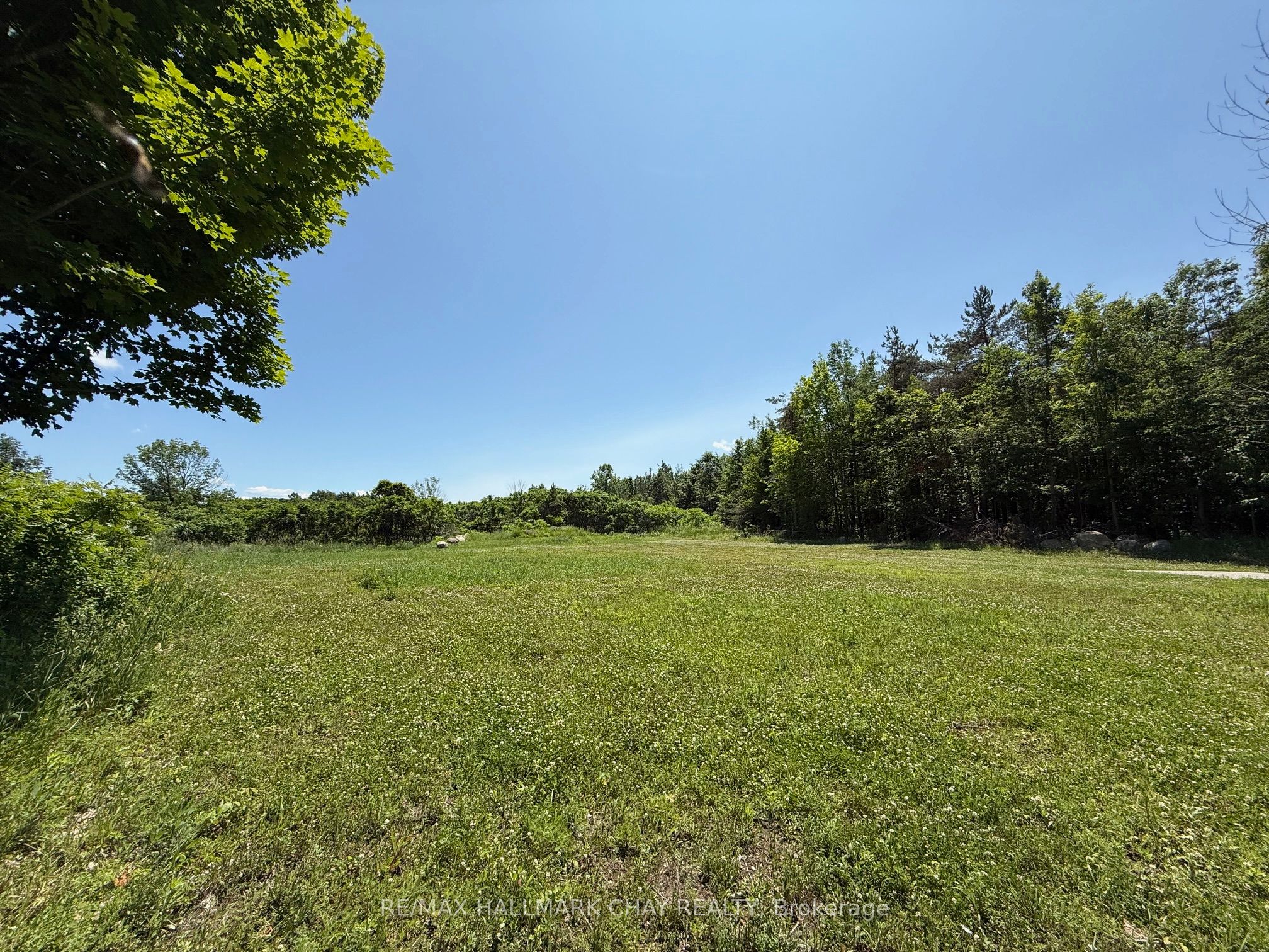 Lot 9 Concession 15 Road Property Photo 3