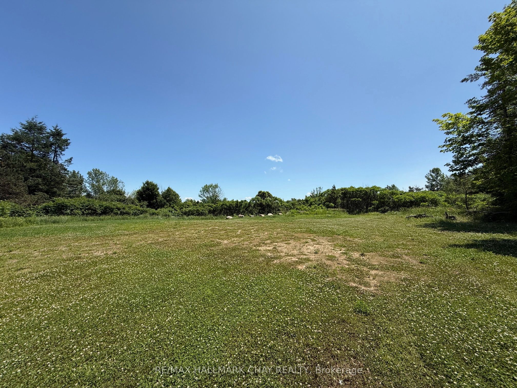 Lot 9 Concession 15 Road Property Photo 4