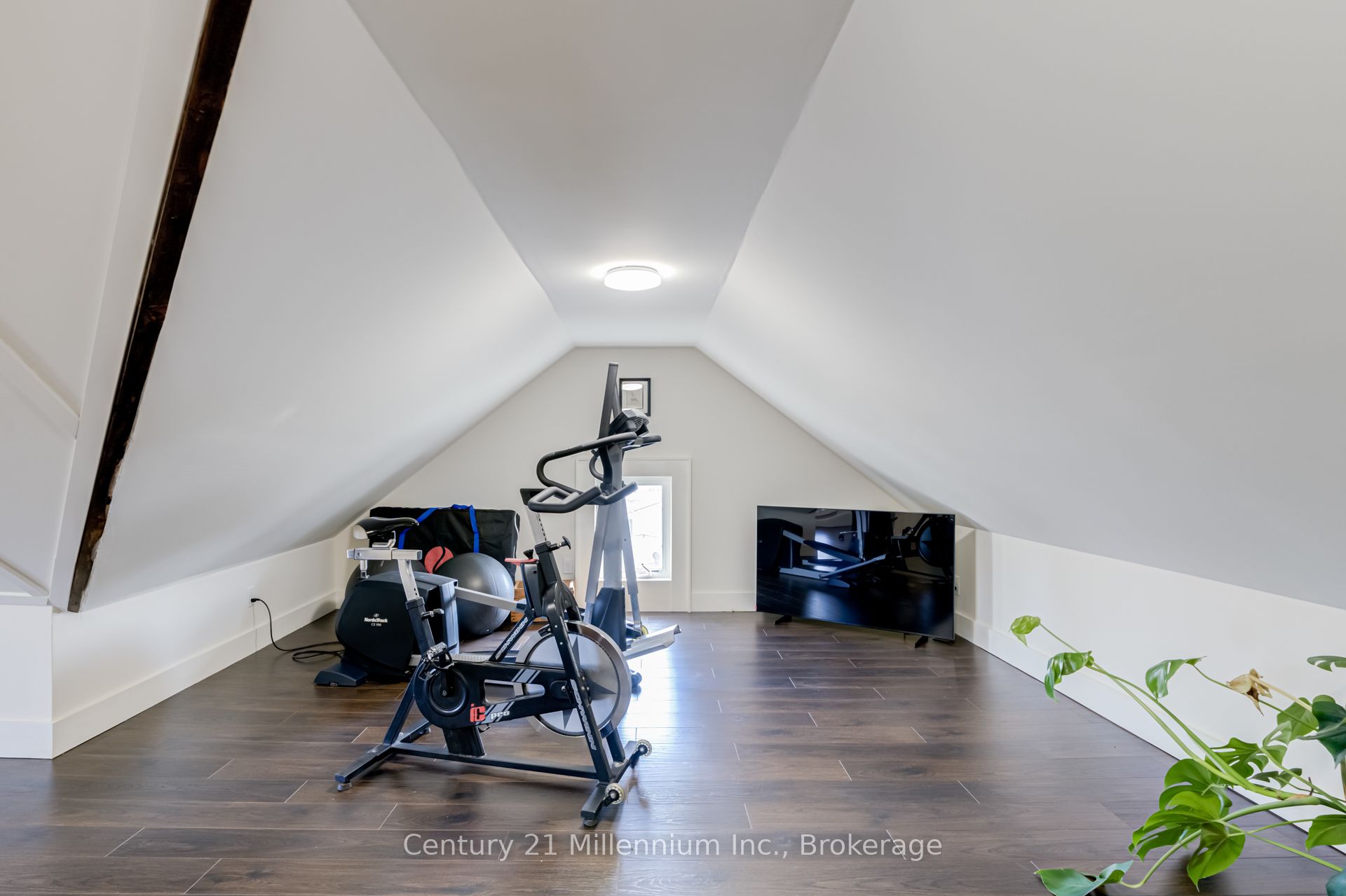 439 Birch Street Property Photo 28