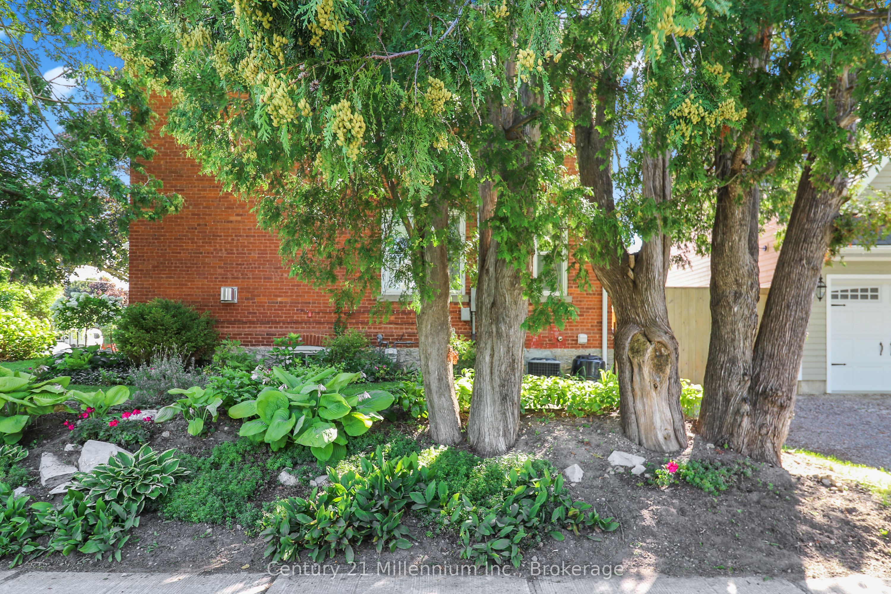 439 Birch Street Property Photo 48