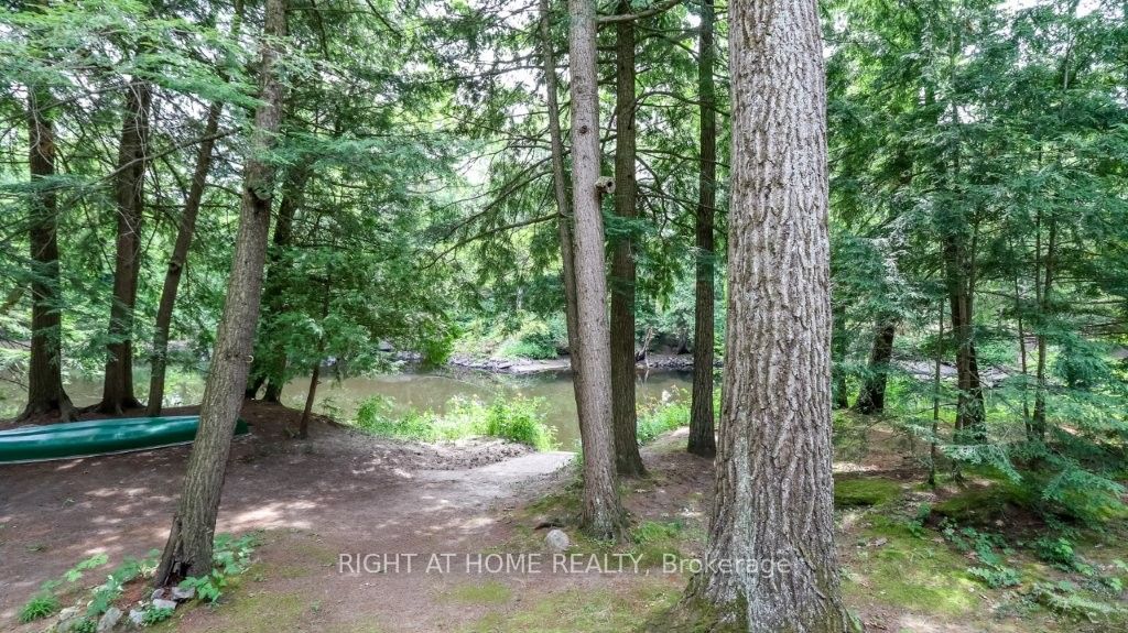 7459 Island Crescent Property Photo 21