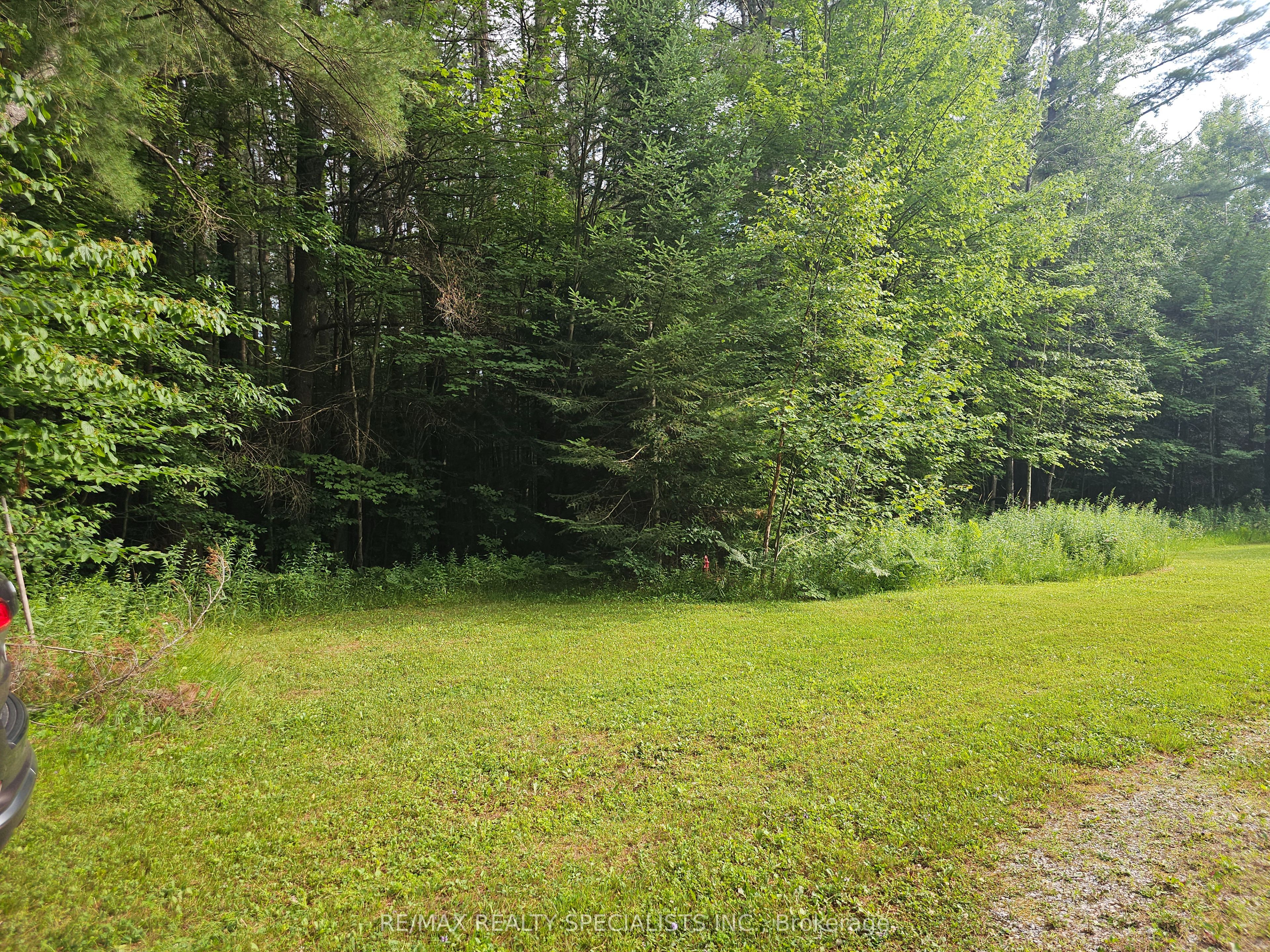 3878 Cambrian Road Property Photo 4
