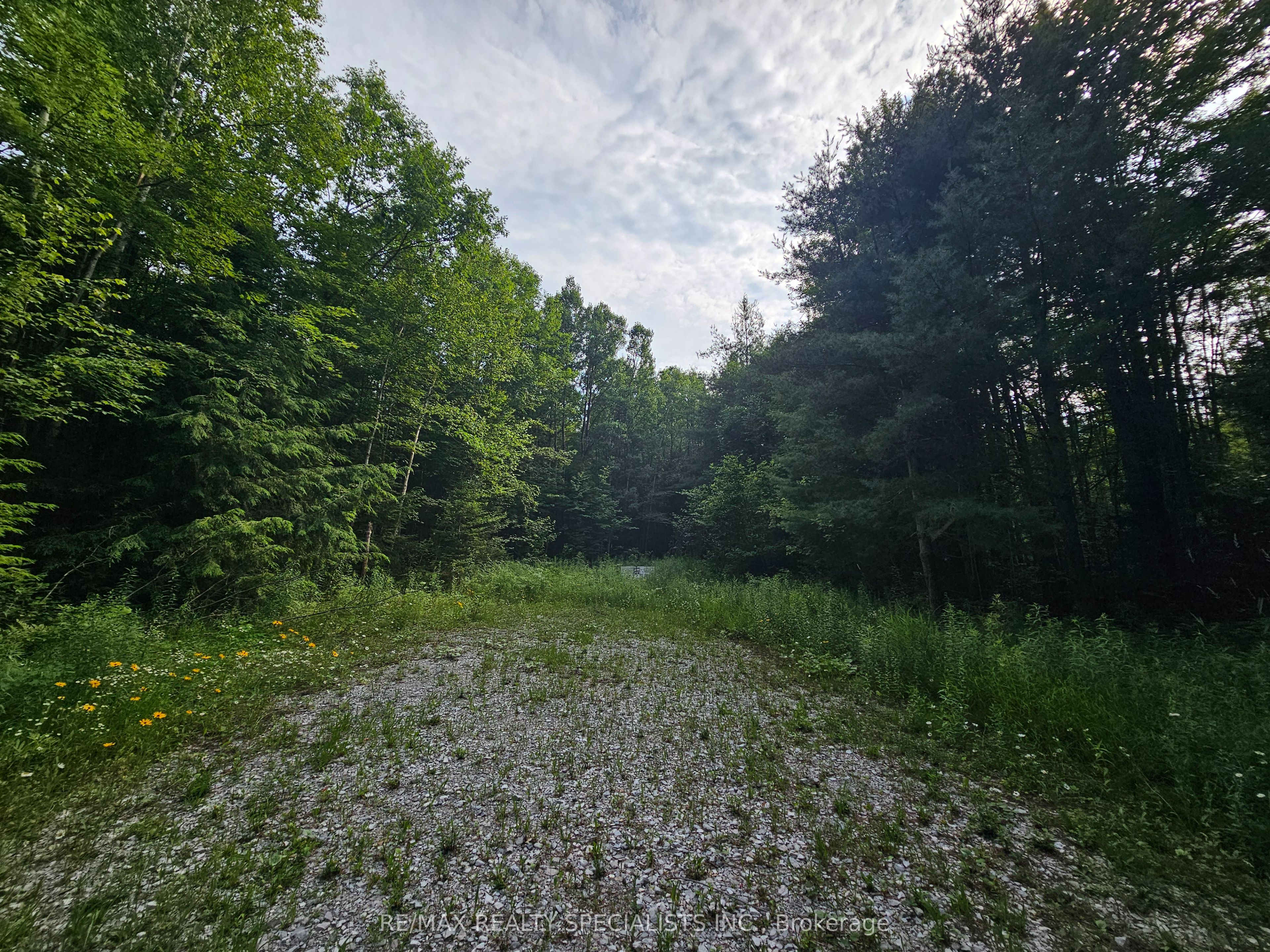 3878 Cambrian Road Property Photo 11