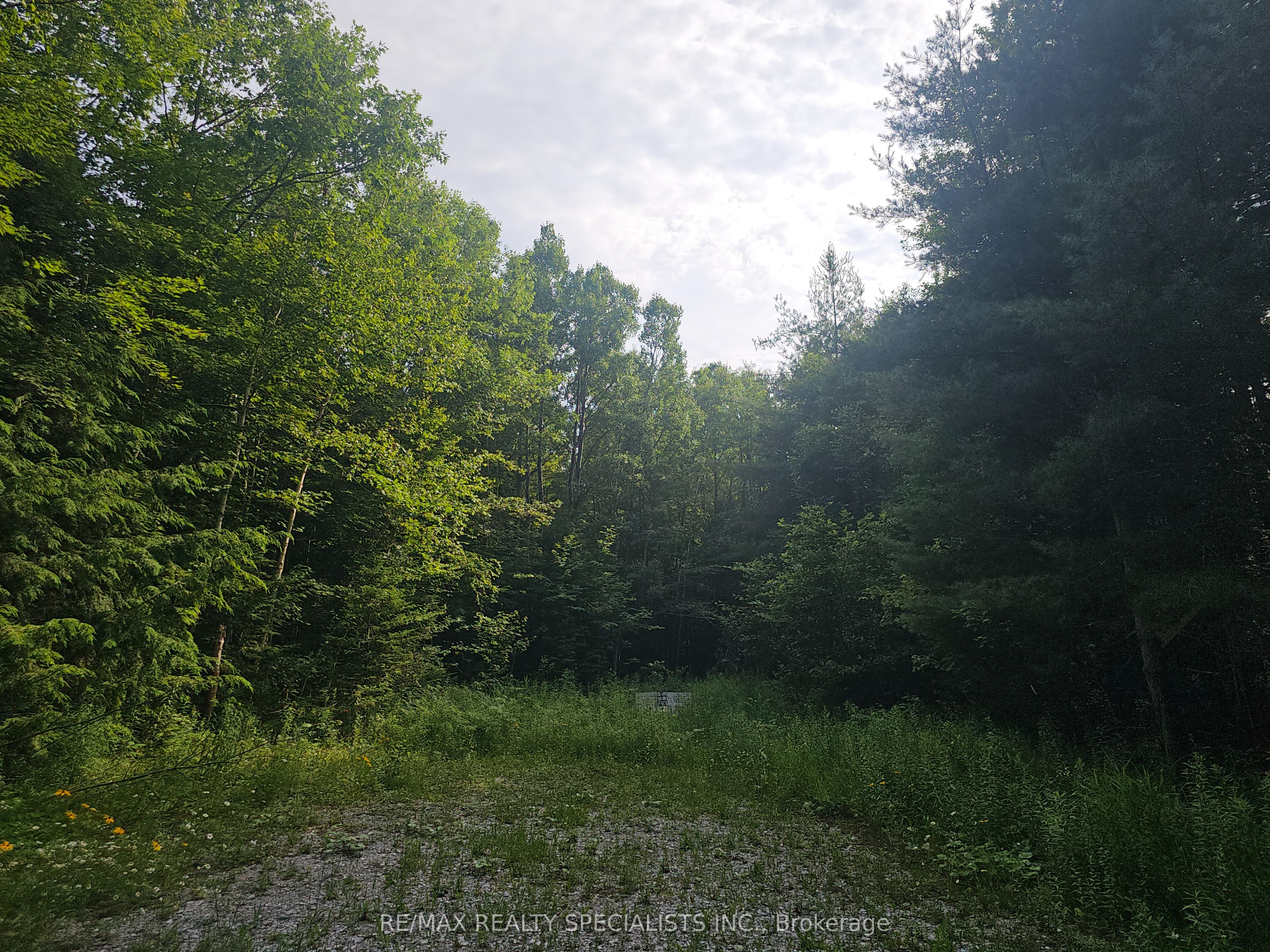 3878 Cambrian Road Property Photo 12