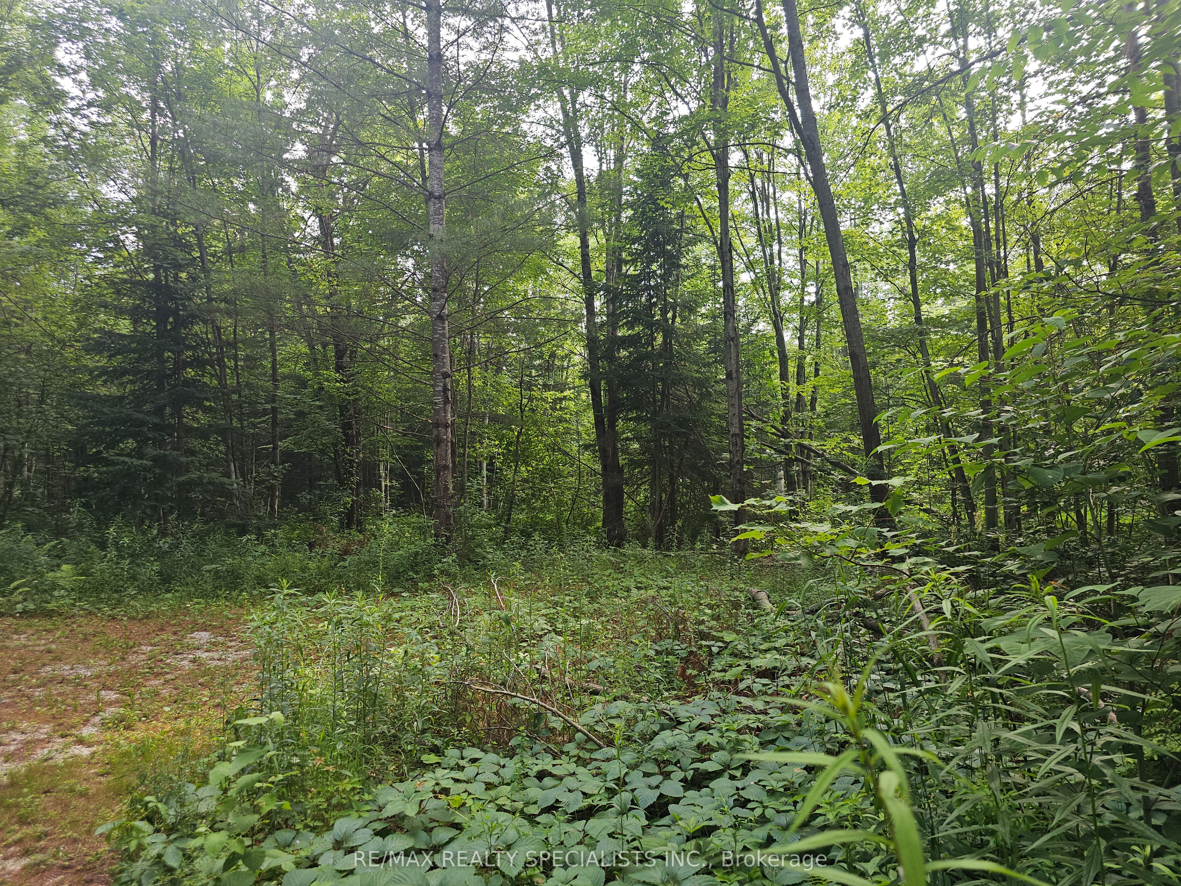 3878 Cambrian Road Property Photo 16