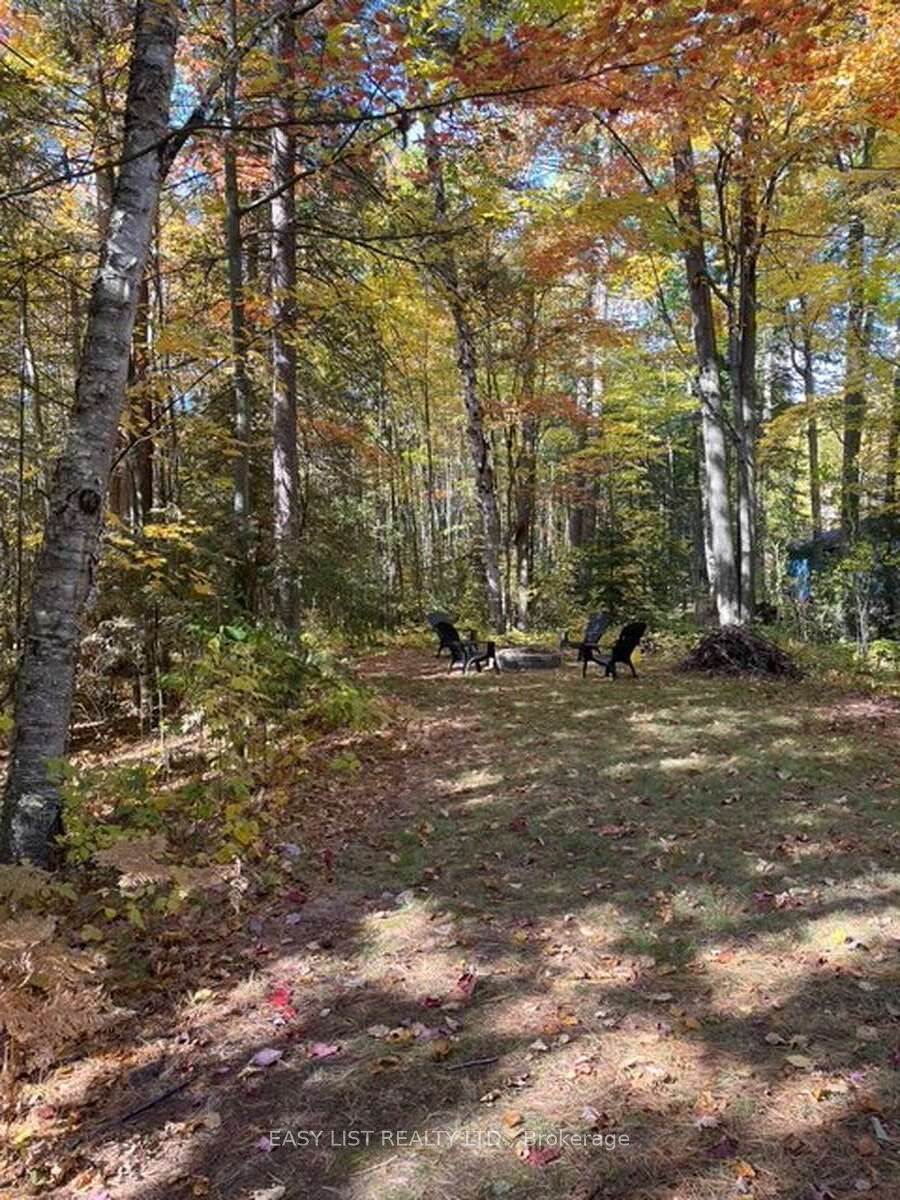 28 Birch Trail Property Photo 33