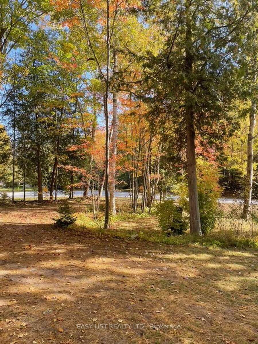 28 Birch Trail Property Photo 34