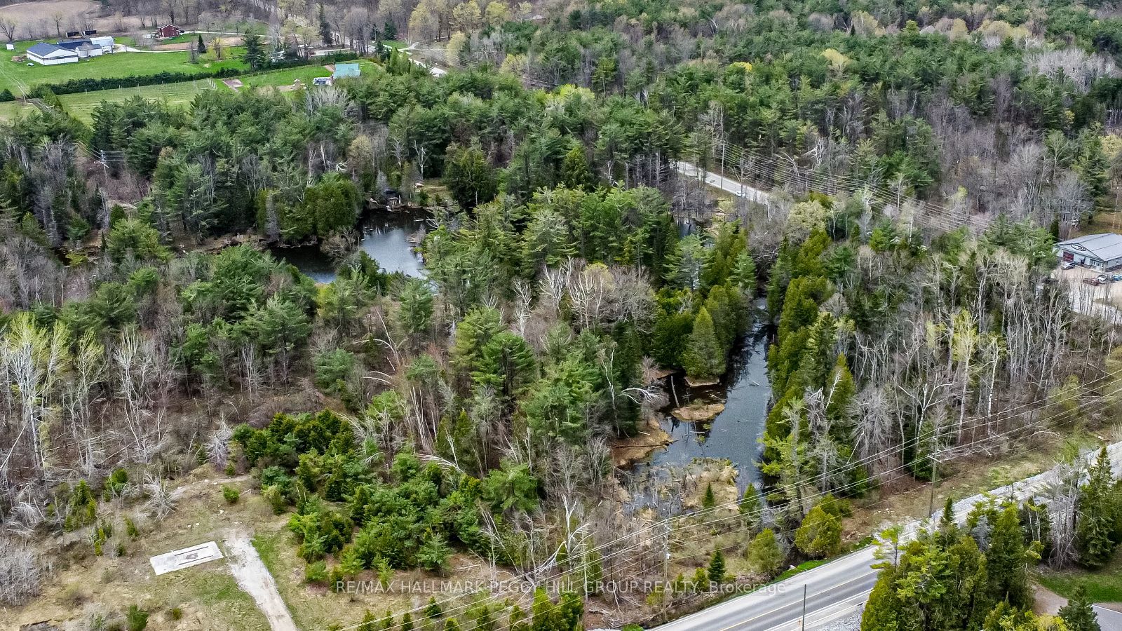 4016 Carlyon Line Property Photo 5