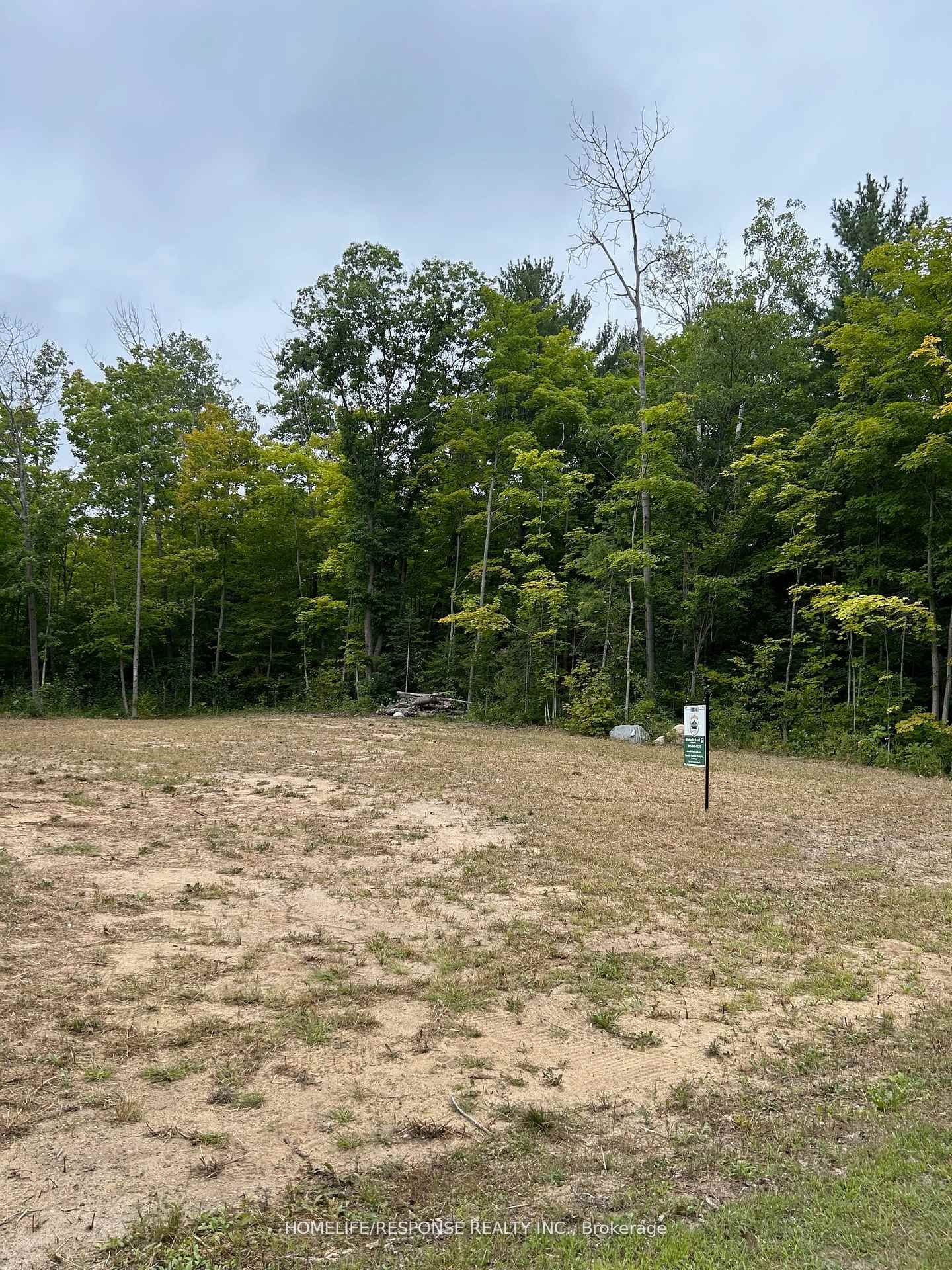 56 Poplar Dr Property Photo 5