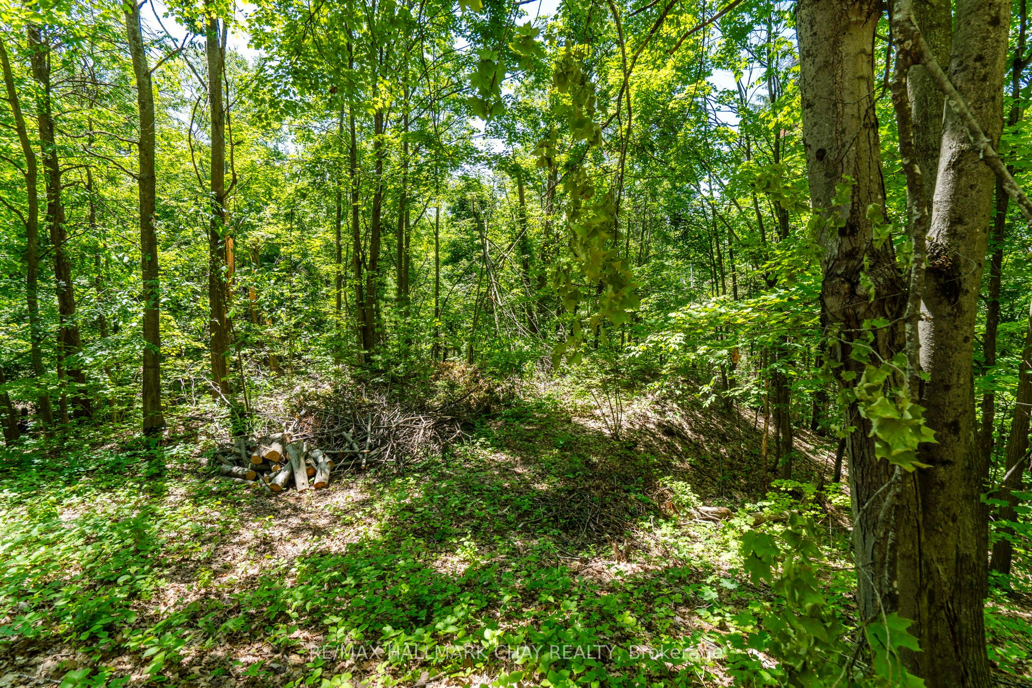 25 Cathedral Pines Road Property Photo 42