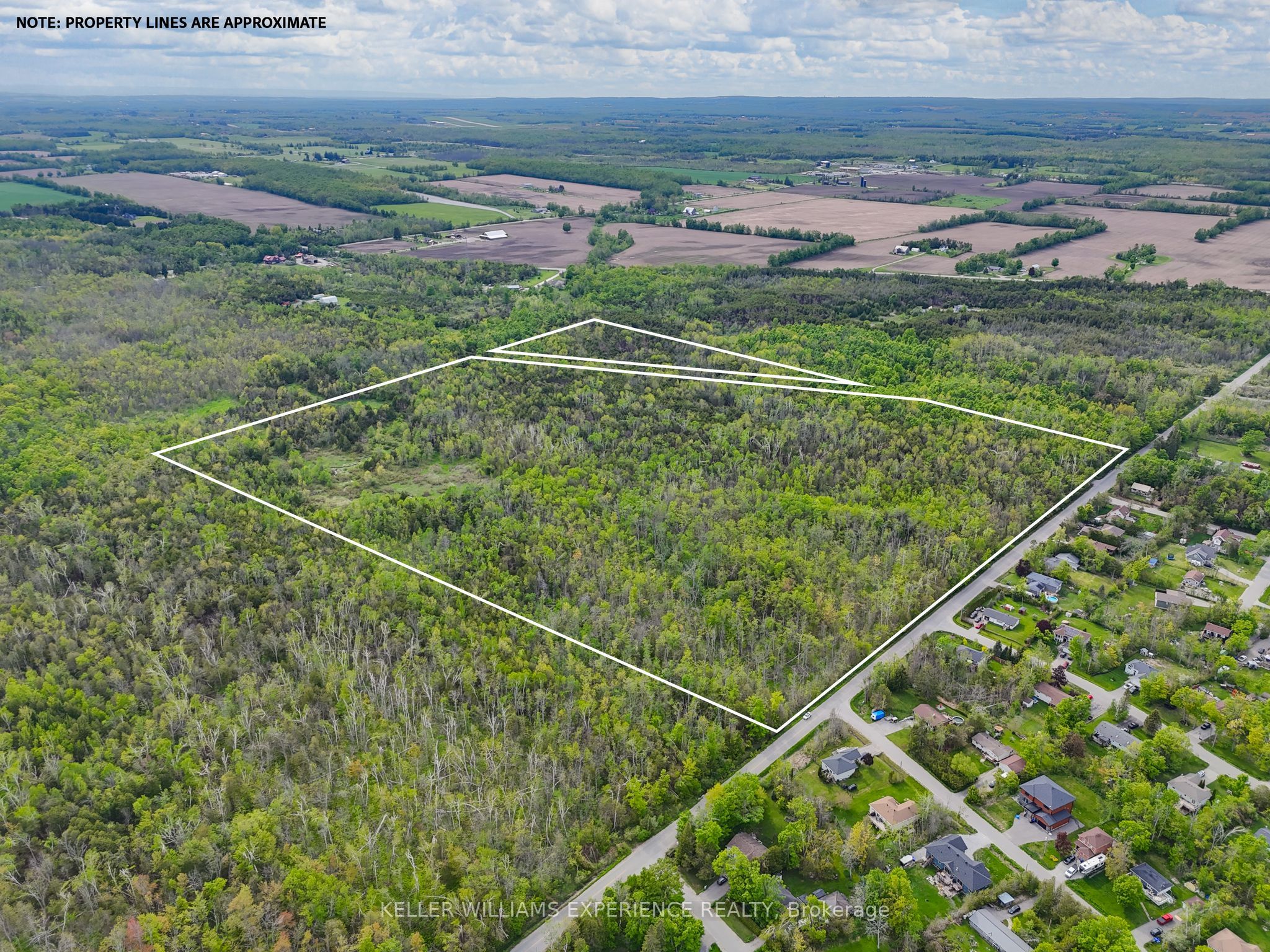 552 Lynn St Property Photo 13