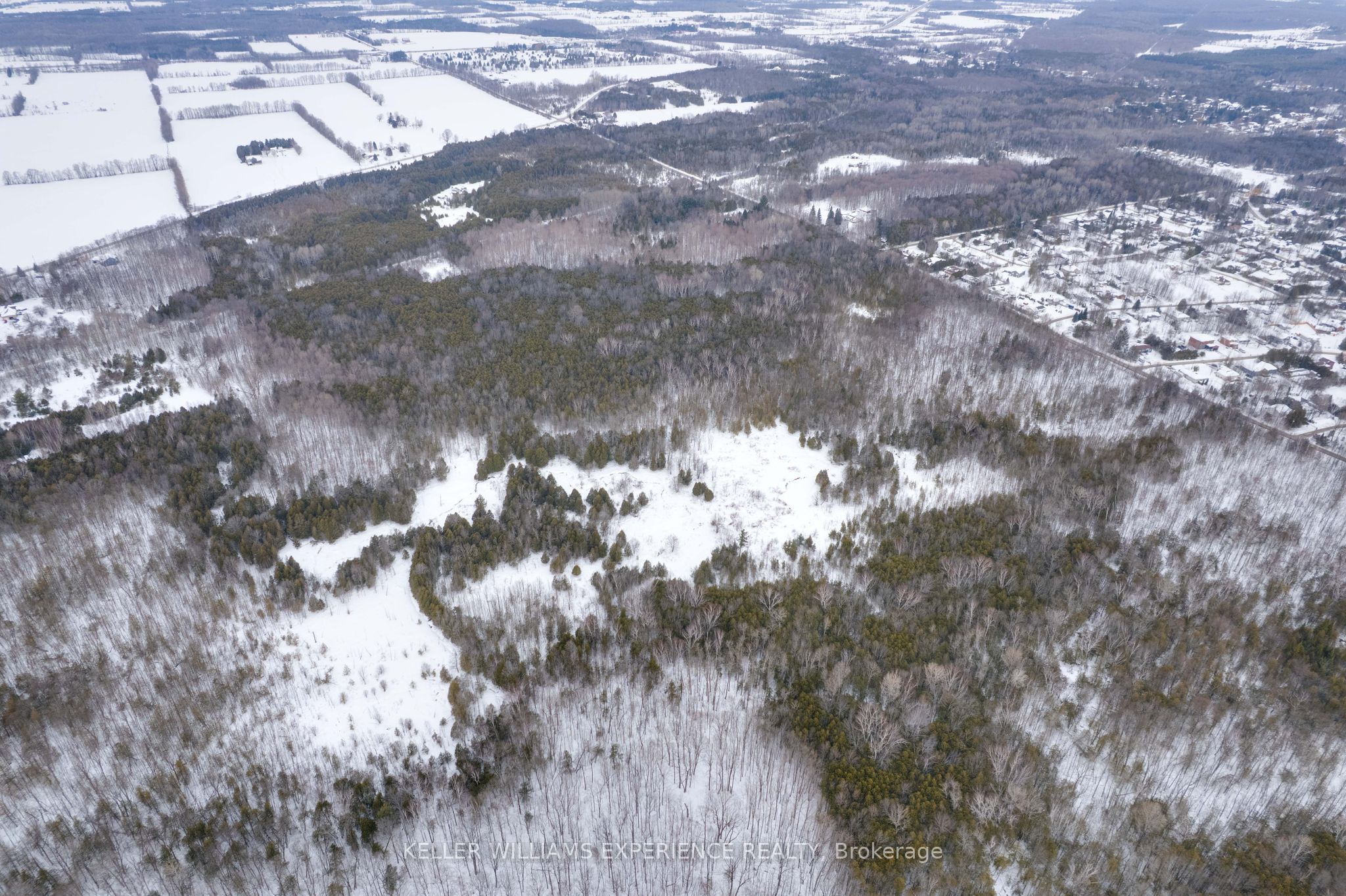 552 Lynn St Property Photo 23