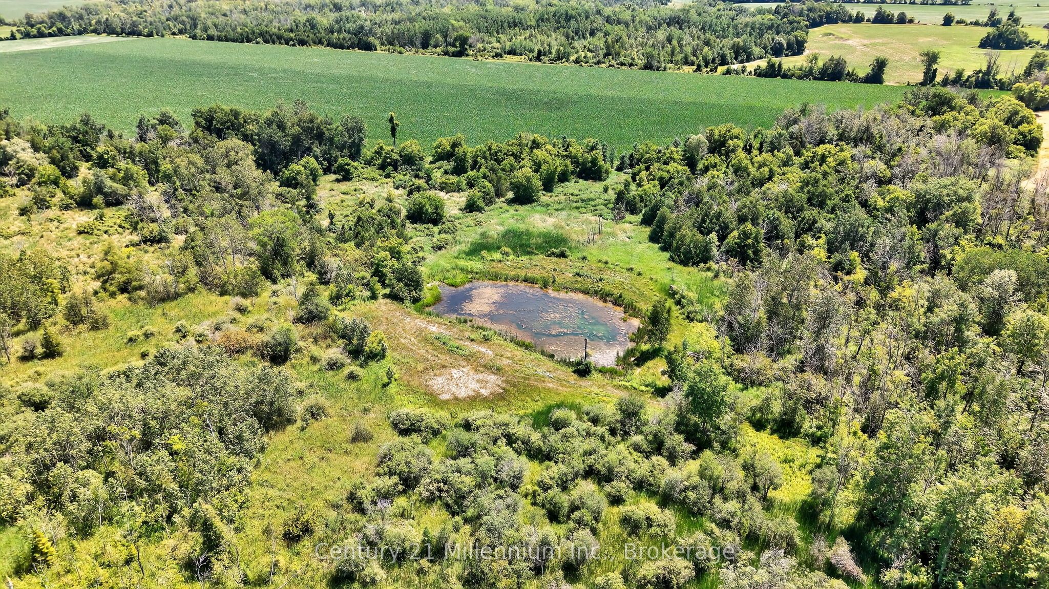 1617 42 County Road Property Photo 29