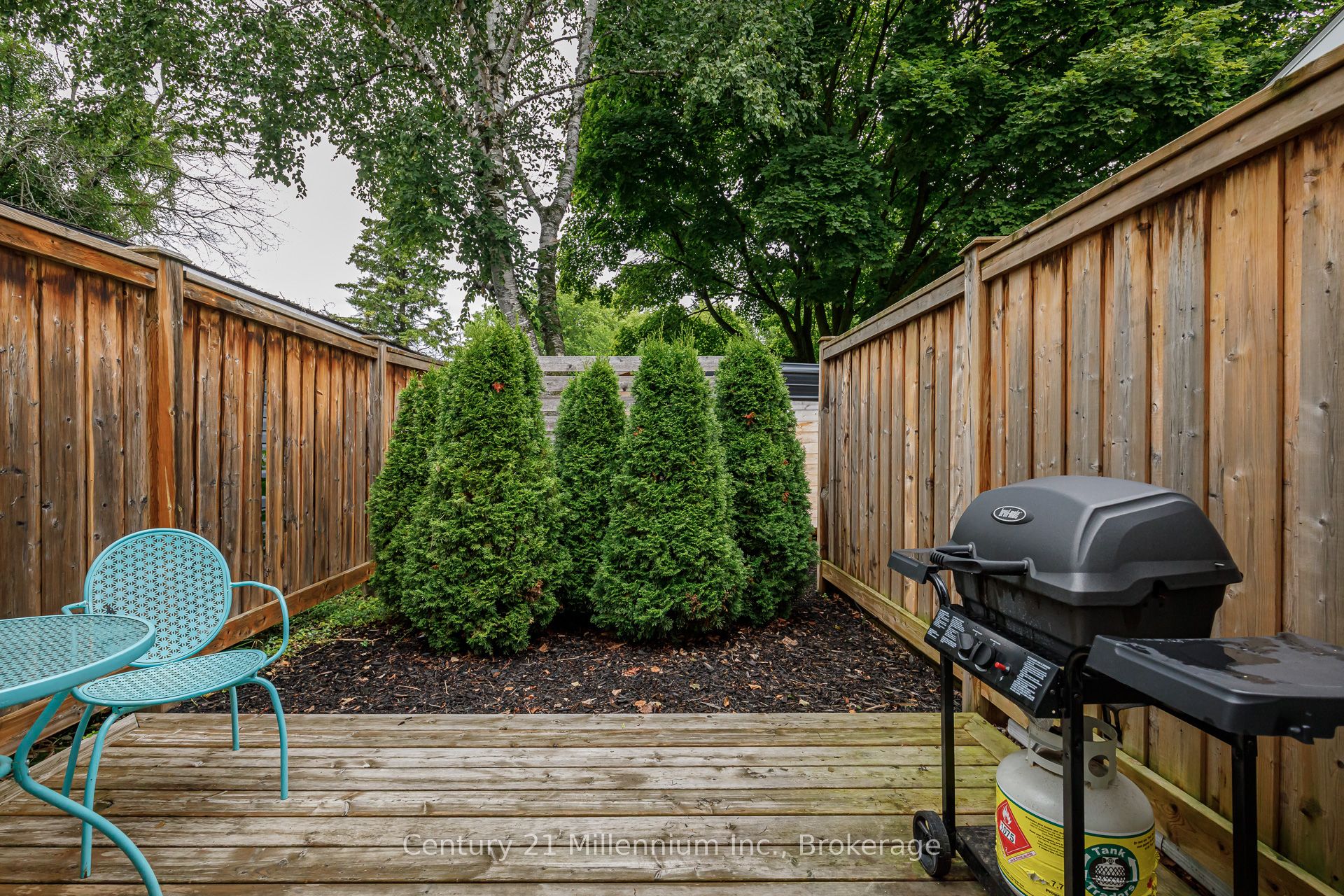 421 Napier Street Property Photo 47