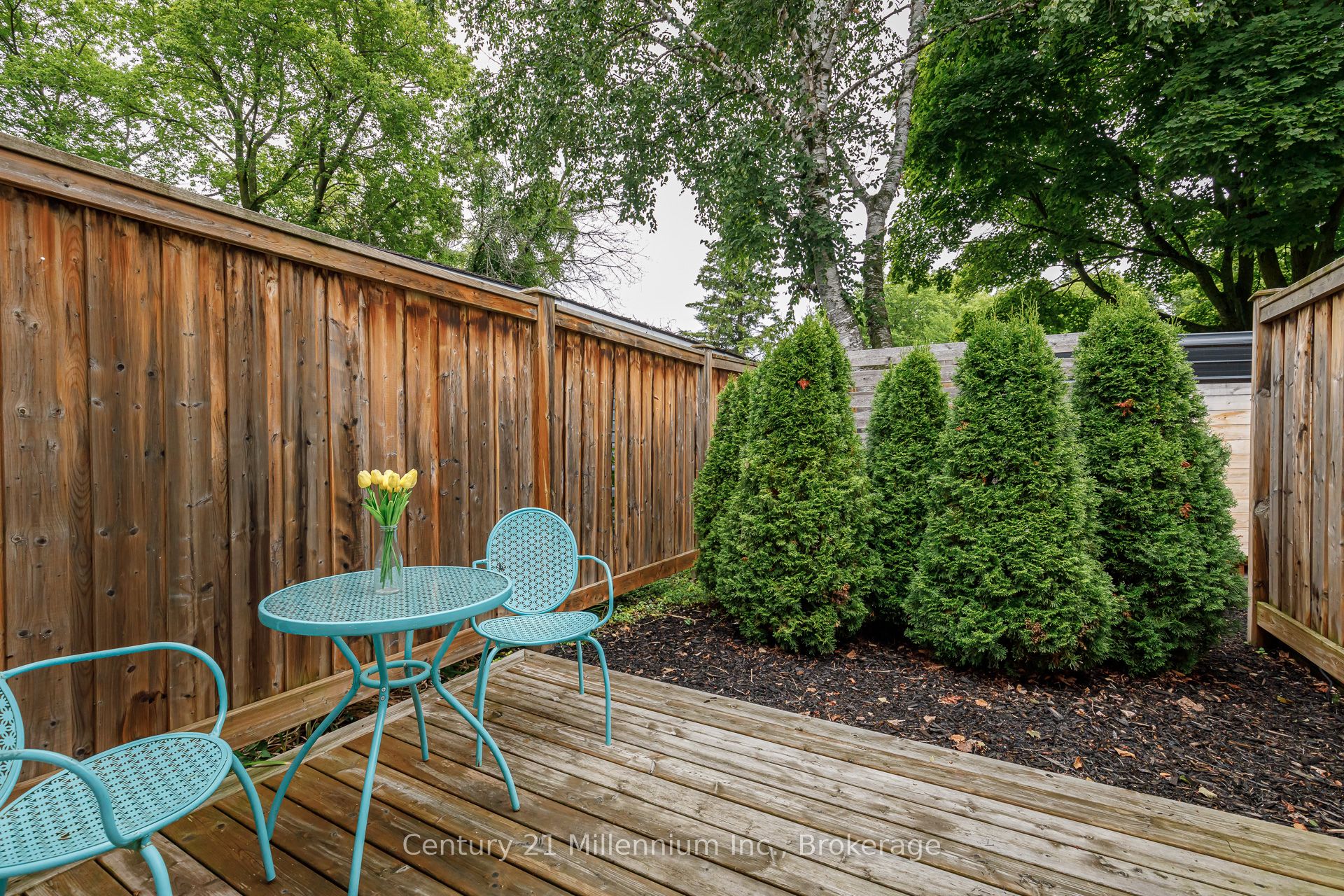 421 Napier Street Property Photo 48