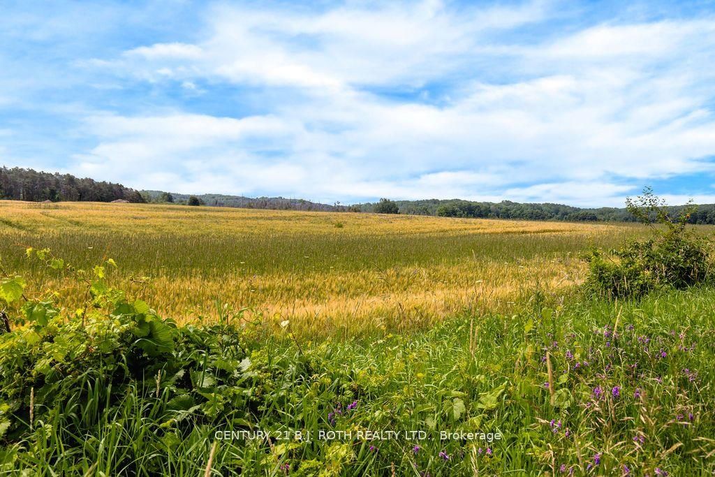 570 Curry Road Property Photo 2