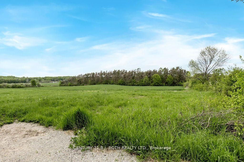 570 Curry Road Property Photo 5