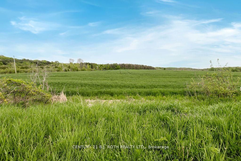 570 Curry Road Property Photo 6