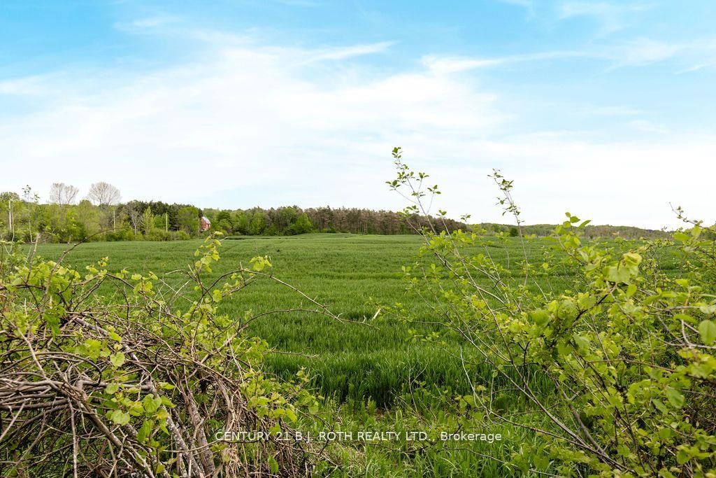 570 Curry Road Property Photo 7