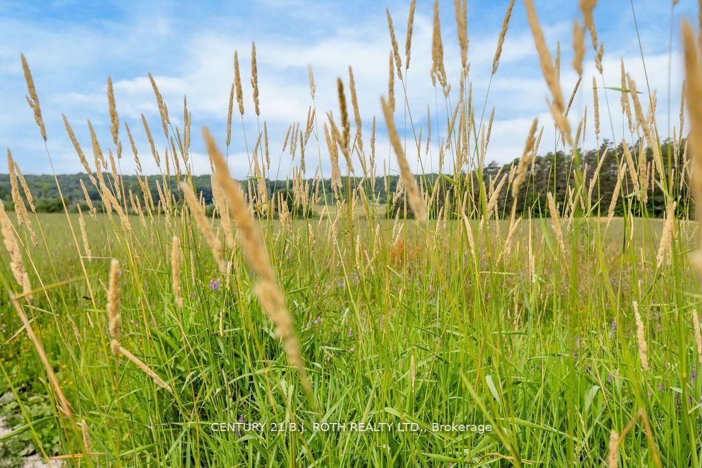 570 Curry Road Property Photo 9