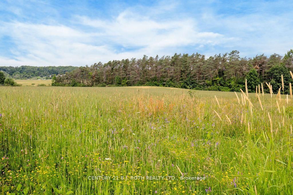 570 Curry Road Property Photo 10