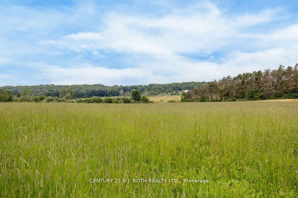 570 Curry Road Property Photo 11