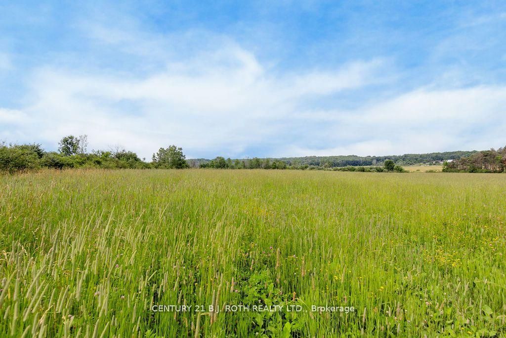 570 Curry Road Property Photo 12