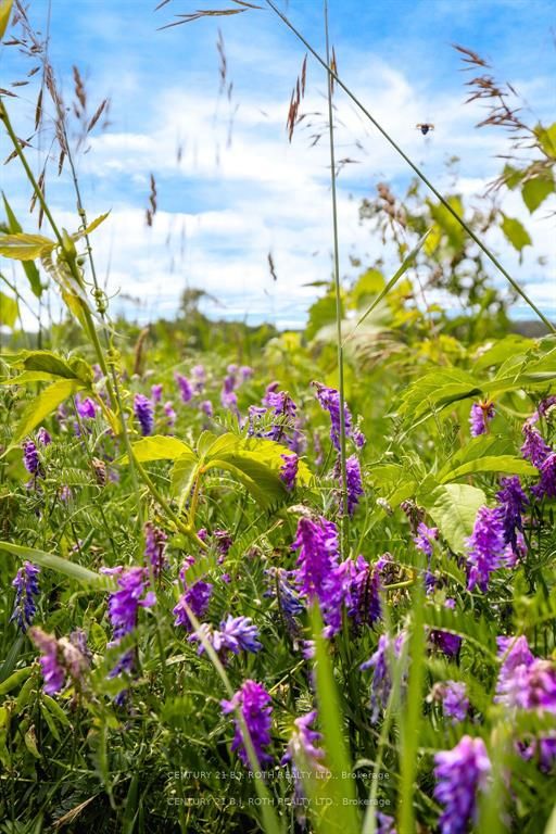 570 Curry Road Property Photo 13