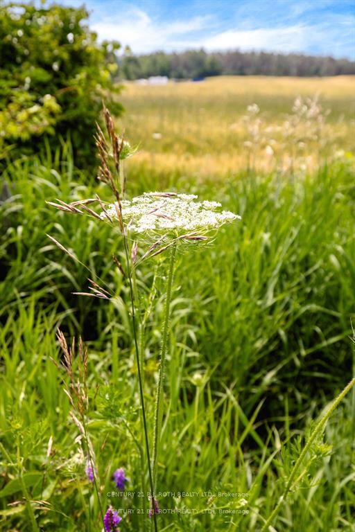 570 Curry Road Property Photo 14