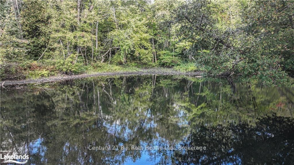 6571 Pioneer Village Lane Property Photo 2