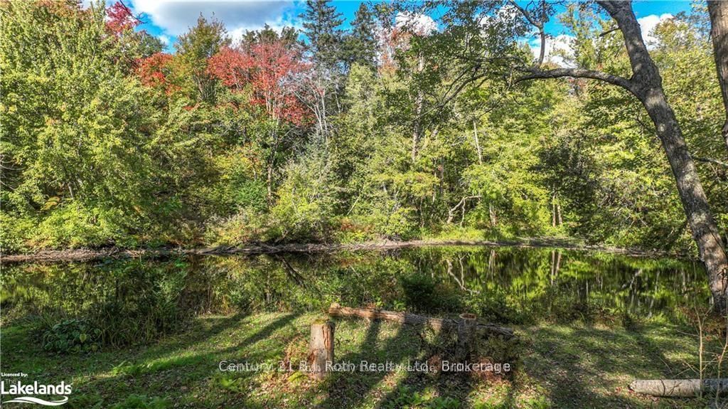6571 Pioneer Village Lane Property Photo 32