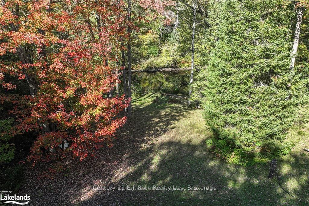 6571 Pioneer Village Lane Property Photo 36