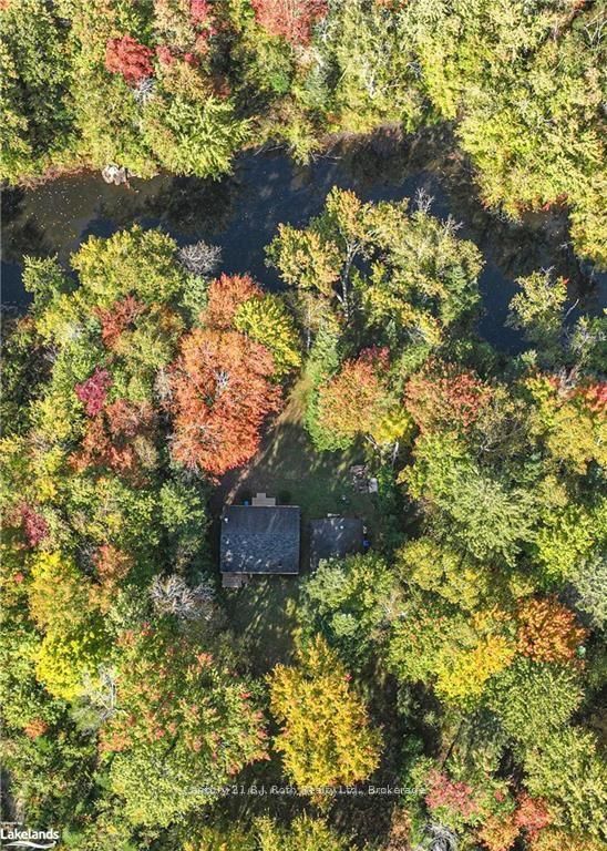 6571 Pioneer Village Lane Property Photo 38