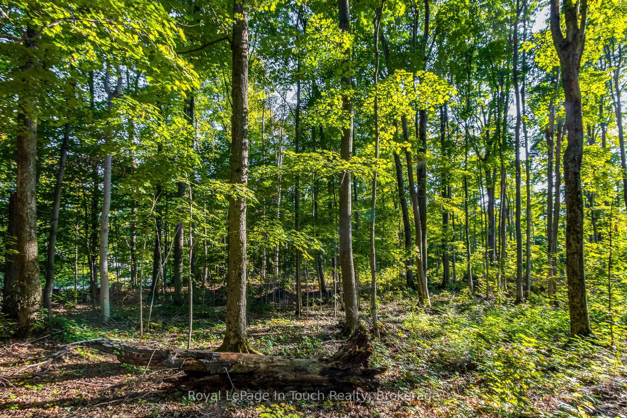Lt 16&17 Nippissing Ridge Road Property Photo 7