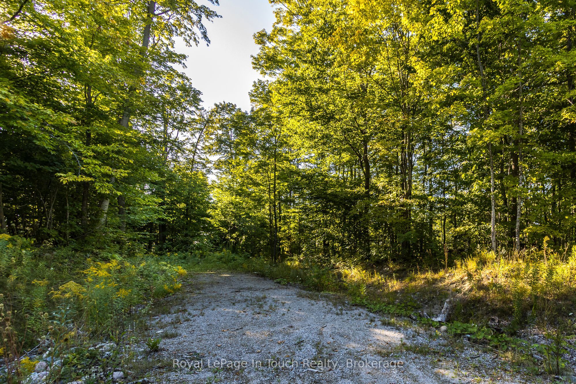 Lt 16&17 Nippissing Ridge Road Property Photo 15