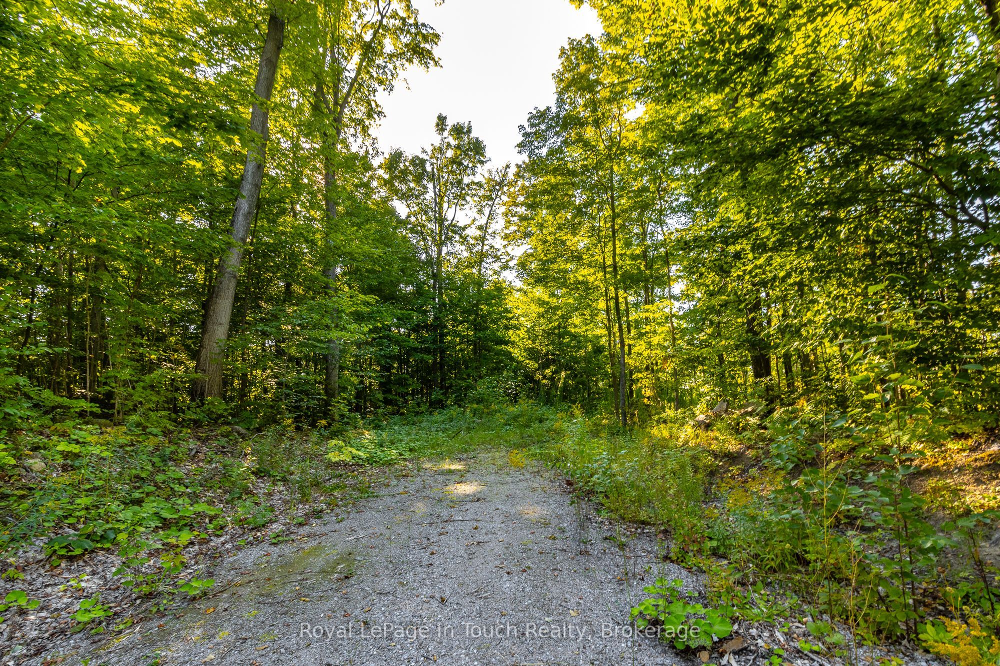 Lt 16&17 Nippissing Ridge Road Property Photo 16