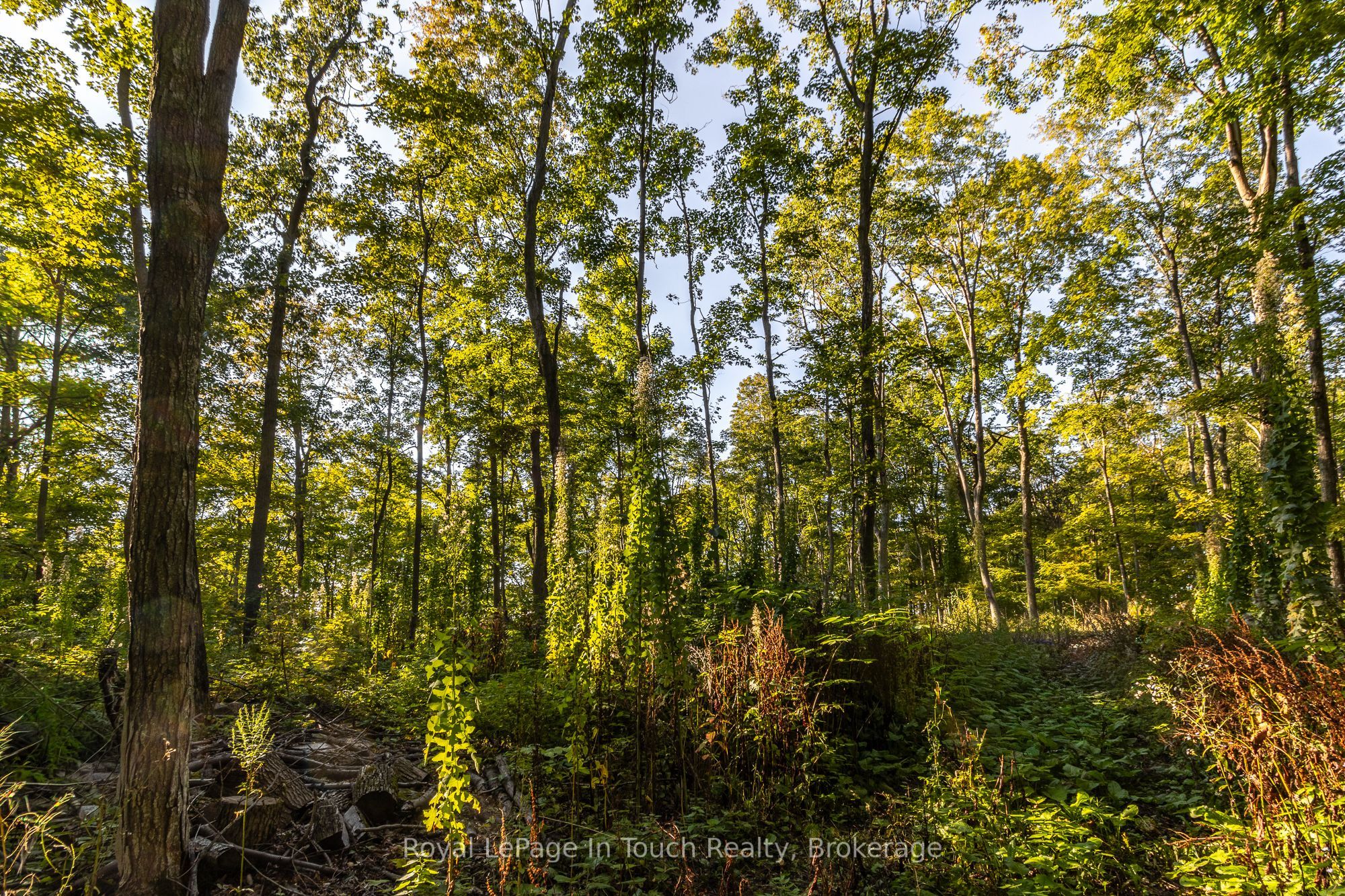 Lt 16&17 Nippissing Ridge Road Property Photo 18